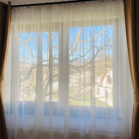 Panoramic Sus In Deal Вишеу-де-Жос Экстерьер фото